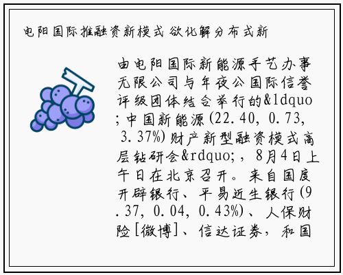 电阳国际推融资新模式 欲化解分布式新能源产业投资难_必赢