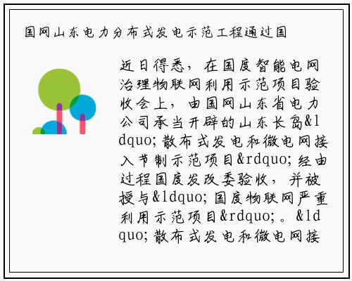 国网山东电力分布式发电示范工程通过国家发改委验收_必赢